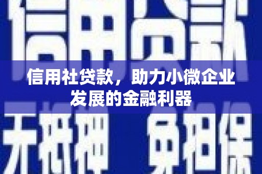 苏尼特右旗信用社贷款，助力小微企业发展的金融利器