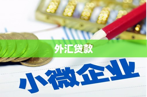 苏尼特右旗外汇贷款