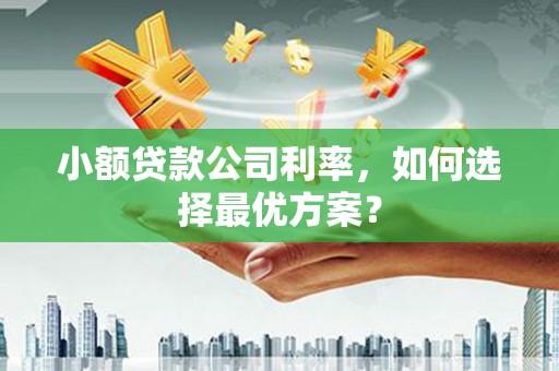 苏尼特右旗小额贷款公司利率，如何选择最优方案？