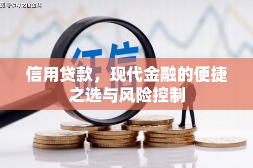 苏尼特右旗信用贷款，现代金融的便捷之选与风险控制