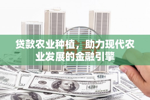 苏尼特右旗贷款农业种植，助力现代农业发展的金融引擎