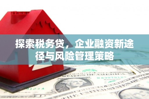 苏尼特右旗探索税务贷，企业融资新途径与风险管理策略