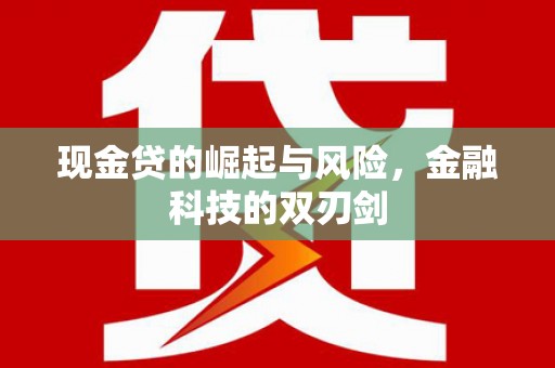 苏尼特右旗现金贷的崛起与风险，金融科技的双刃剑
