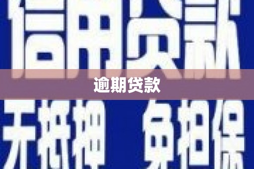 苏尼特右旗逾期贷款