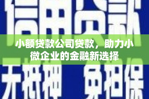苏尼特右旗小额贷款公司贷款，助力小微企业的金融新选择