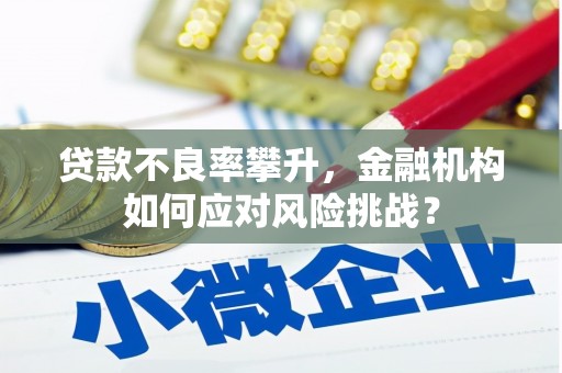 苏尼特右旗贷款不良率攀升，金融机构如何应对风险挑战？