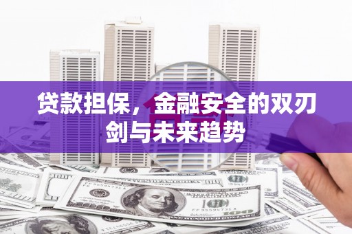 苏尼特右旗贷款担保，金融安全的双刃剑与未来趋势