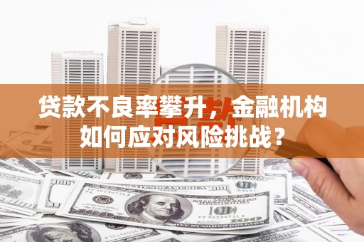 苏尼特右旗贷款不良率攀升，金融机构如何应对风险挑战？