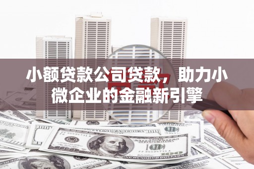苏尼特右旗小额贷款公司贷款，助力小微企业的金融新引擎