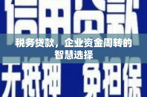 苏尼特右旗税务贷款，企业资金周转的智慧选择