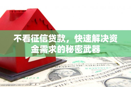 苏尼特右旗不看征信贷款，快速解决资金需求的秘密武器