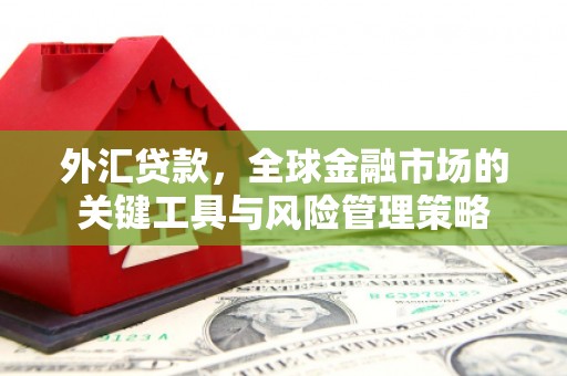 苏尼特右旗外汇贷款，全球金融市场的关键工具与风险管理策略