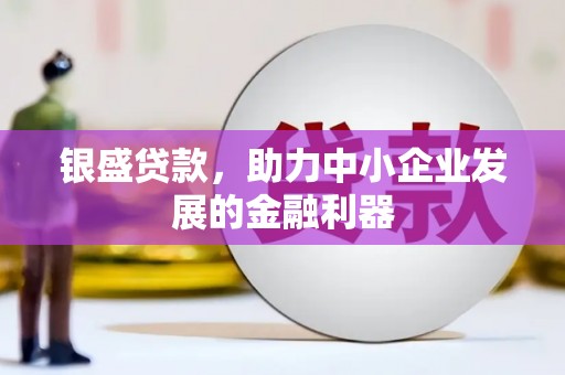 苏尼特右旗银盛贷款，助力中小企业发展的金融利器