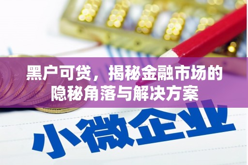 苏尼特右旗黑户可贷，揭秘金融市场的隐秘角落与解决方案
