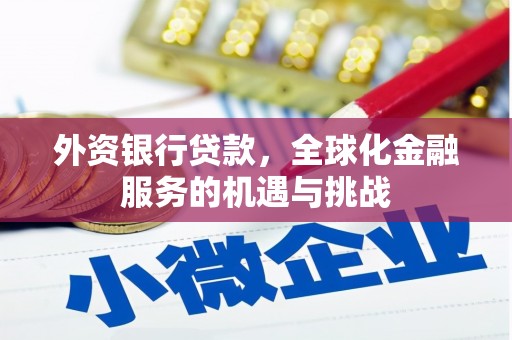 苏尼特右旗外资银行贷款，全球化金融服务的机遇与挑战