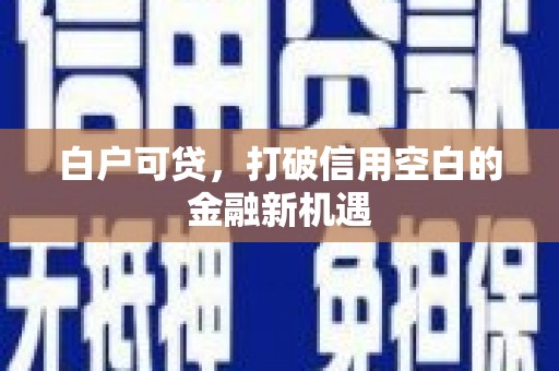 苏尼特右旗白户可贷，打破信用空白的金融新机遇