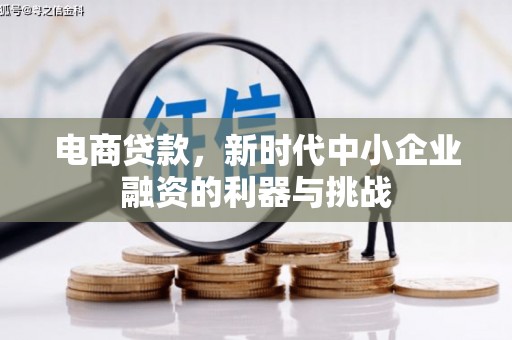 苏尼特右旗电商贷款，新时代中小企业融资的利器与挑战