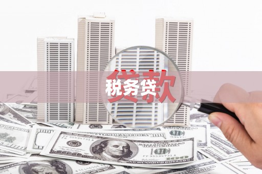 苏尼特右旗税务贷