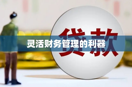 苏尼特右旗灵活财务管理的利器