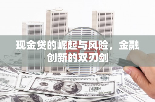 苏尼特右旗现金贷的崛起与风险，金融创新的双刃剑