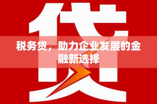 苏尼特右旗税务贷，助力企业发展的金融新选择
