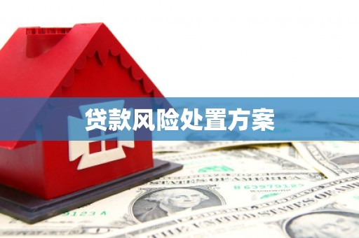 苏尼特右旗贷款风险处置方案