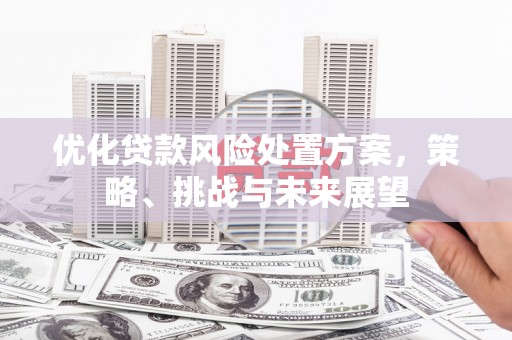 苏尼特右旗优化贷款风险处置方案，策略、挑战与未来展望