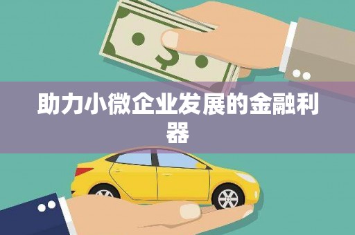 苏尼特右旗助力小微企业发展的金融利器