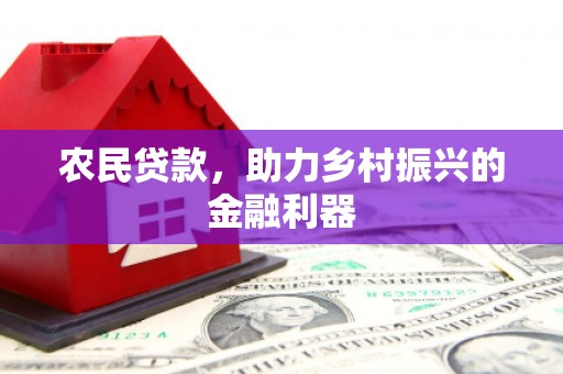 苏尼特右旗农民贷款，助力乡村振兴的金融利器