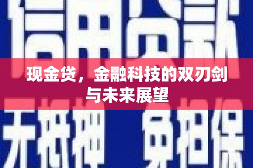 苏尼特右旗现金贷，金融科技的双刃剑与未来展望