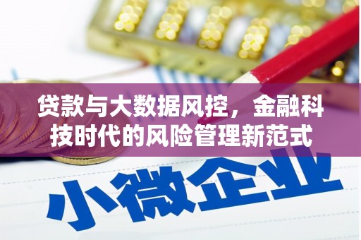 苏尼特右旗贷款与大数据风控，金融科技时代的风险管理新范式