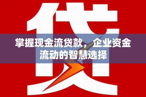 苏尼特右旗掌握现金流贷款，企业资金流动的智慧选择