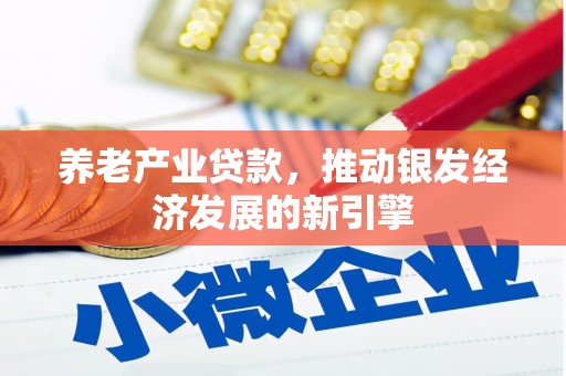 苏尼特右旗养老产业贷款，推动银发经济发展的新引擎