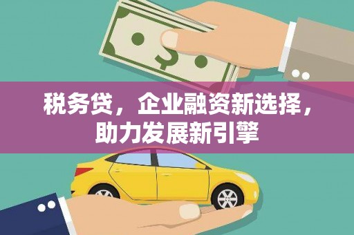 苏尼特右旗税务贷，企业融资新选择，助力发展新引擎