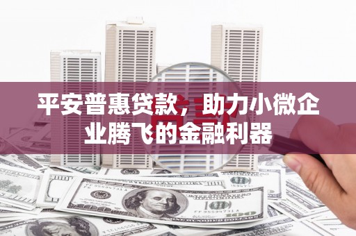 苏尼特右旗平安普惠贷款，助力小微企业腾飞的金融利器