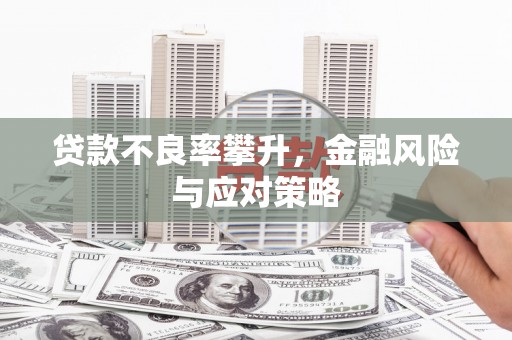 苏尼特右旗贷款不良率攀升，金融风险与应对策略