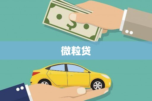 苏尼特右旗微粒贷