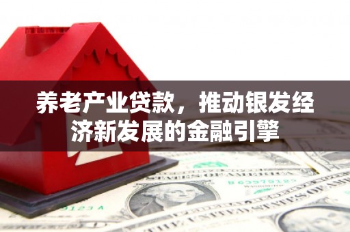 苏尼特右旗养老产业贷款，推动银发经济新发展的金融引擎