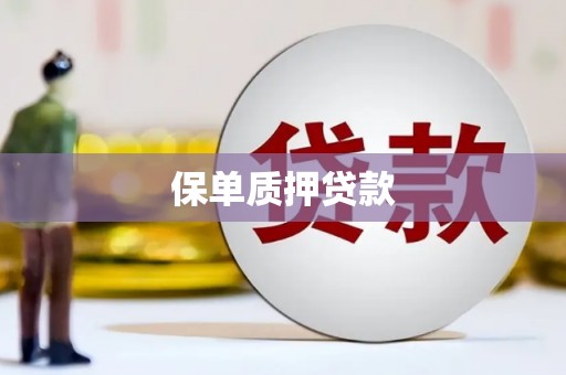 苏尼特右旗保单质押贷款