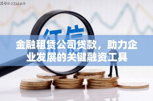苏尼特右旗金融租赁公司贷款，助力企业发展的关键融资工具