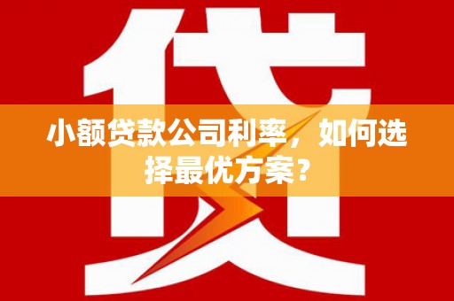 苏尼特右旗小额贷款公司利率，如何选择最优方案？
