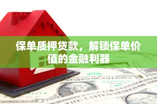苏尼特右旗保单质押贷款，解锁保单价值的金融利器