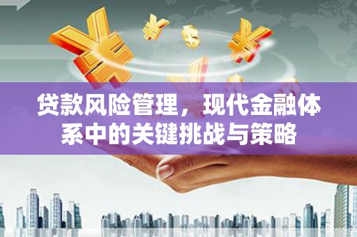 苏尼特右旗贷款风险管理，现代金融体系中的关键挑战与策略