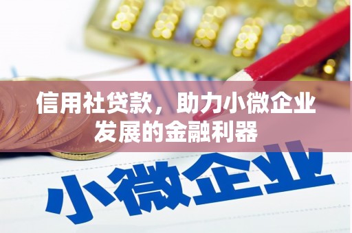 苏尼特右旗信用社贷款，助力小微企业发展的金融利器