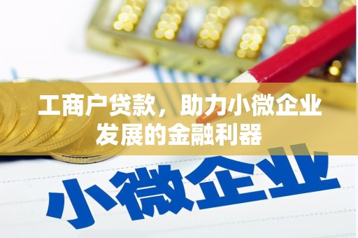 苏尼特右旗工商户贷款，助力小微企业发展的金融利器