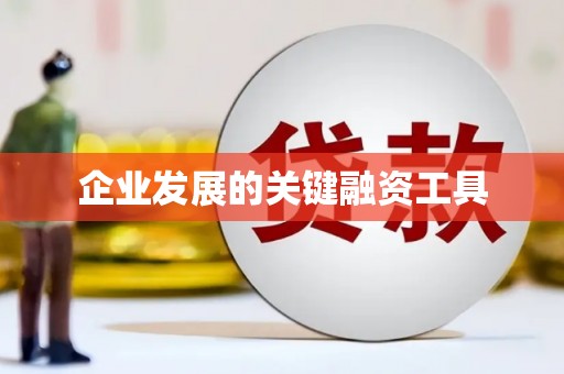 苏尼特右旗企业发展的关键融资工具