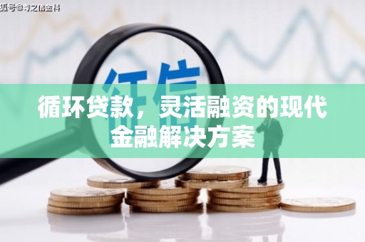 苏尼特右旗循环贷款，灵活融资的现代金融解决方案
