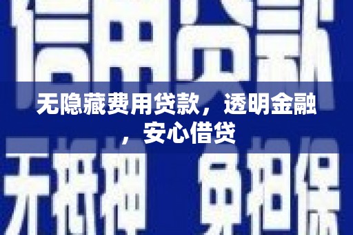 苏尼特右旗无隐藏费用贷款，透明金融，安心借贷