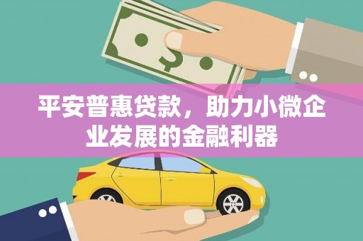 苏尼特右旗平安普惠贷款，助力小微企业发展的金融利器