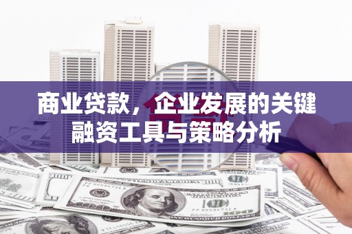 苏尼特右旗商业贷款，企业发展的关键融资工具与策略分析